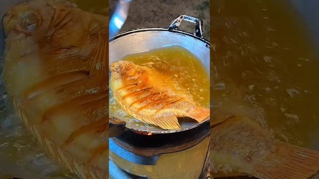 https://youtube.com/channel/UCw7gBTsg8PWqWG47HN2ikLw?si=QLN5dbmLDqm4h9kl