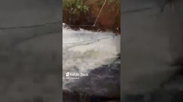 Рыба уходит