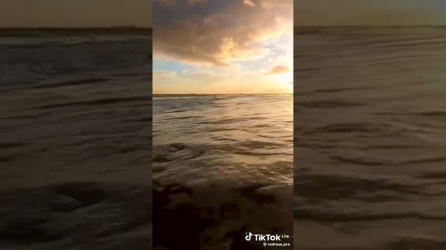 YouCut_20240308_151954154.mp4