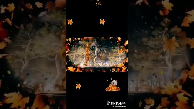 YouCut_20240521_081329740.mp4