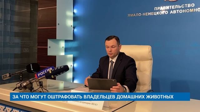 ЗА ЧТО МОГУТ ОШТРАФОВАТЬ ВЛАДЕЛЬЦЕВ ДОМАШНИХ ЖИВОТНЫХ