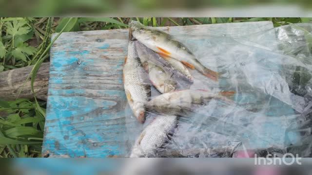 Результат конкурсной рыбалки.