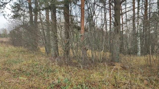 Дорога на ферму: Деревенские истории | Natures Quiet Retreat