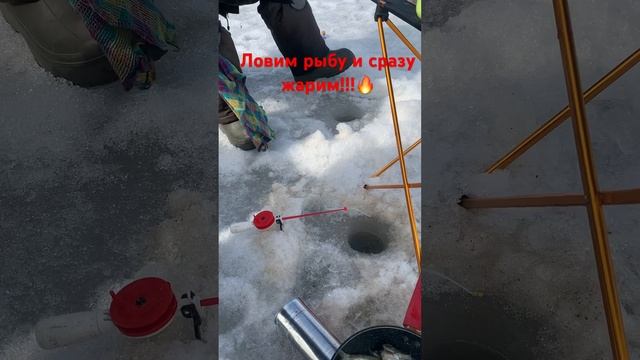 Ловим рыбу из подо-льда и сразу жарим! Вкуснотища!!!))