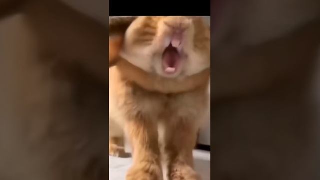 Это я когда что то сделали