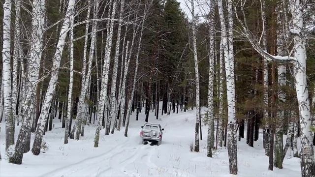 Толи охота на зайцев, толи Патруля по полям гоняли...
