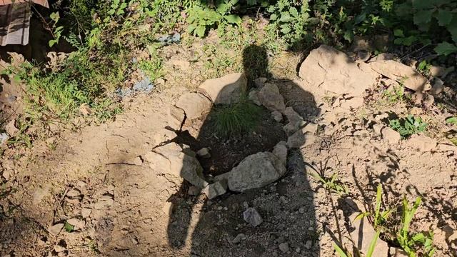 20240922_150736 Конец сентября 2024. Вид со стороны кухни