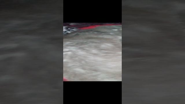 Когда кот смотрел рыбалку и заснул и снятся ему большие окуни🤣🤣🤣