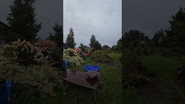 Раскат грома