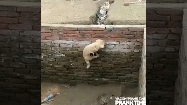 Никогда не сдавайся!!!