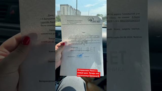 Нами уехала в новый дом теперь она жительница Армении