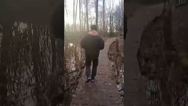 Лукоморья больше нет...