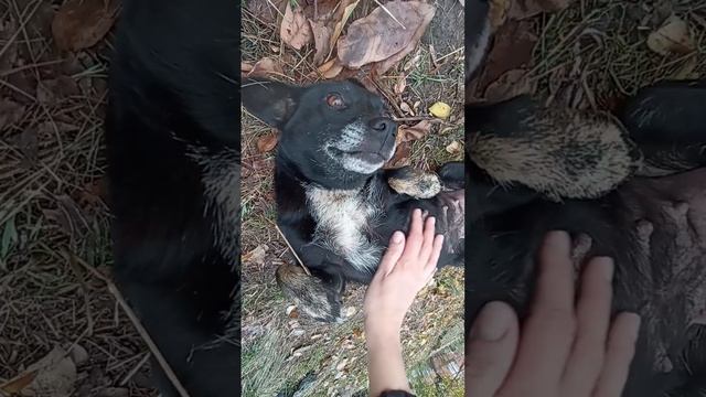кому такую радость
