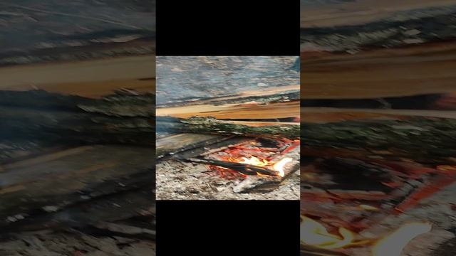 ПОРУБАС # 28 20.11.24 КУЗЬМИНКИ