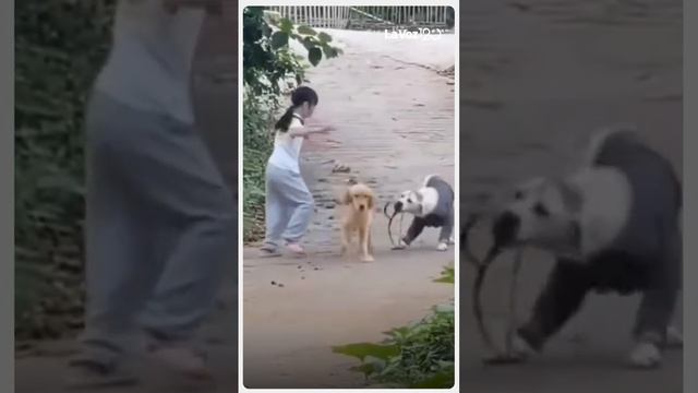 Это похищение! 😎