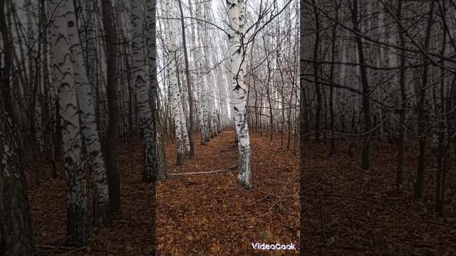 Великий Учитель