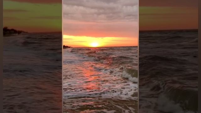 YouCut_20241018_105133918.mp4