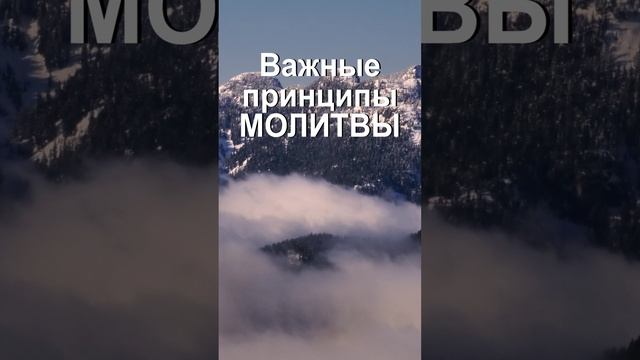 Принципы молитвы #светправославия #молитвы #молиться #shorts