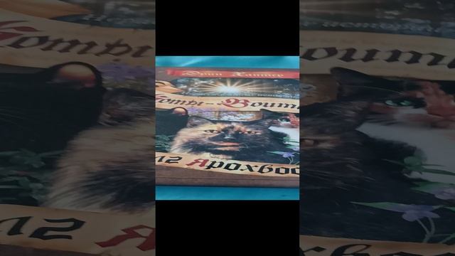 Полная история Ярохвоста(Коты Воители)
