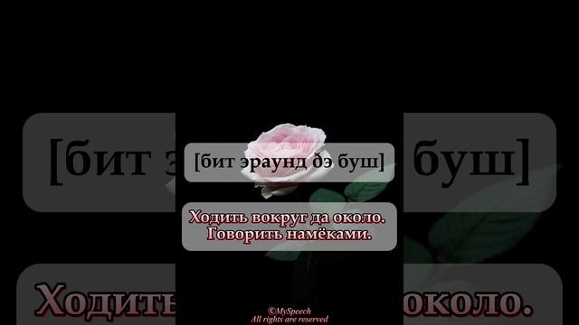 A dime a dozen - Пруд пруди; Beat around the bush - Ходить вокруг да около.