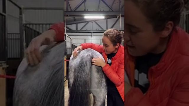 Заботливая наездница 👍