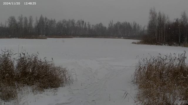 снт4 красота