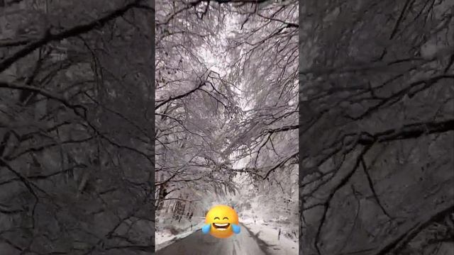 #2024 #like #видео #подписаться