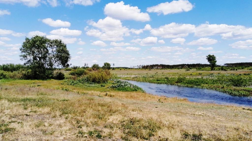 Продается участок 20.4 Га в Воронеже в районе реки Усманки, в зоне Рекреация-туризм.