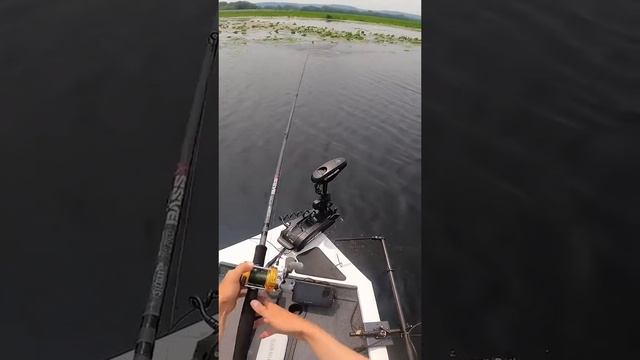 Я думал он поймал а это и есть наживка