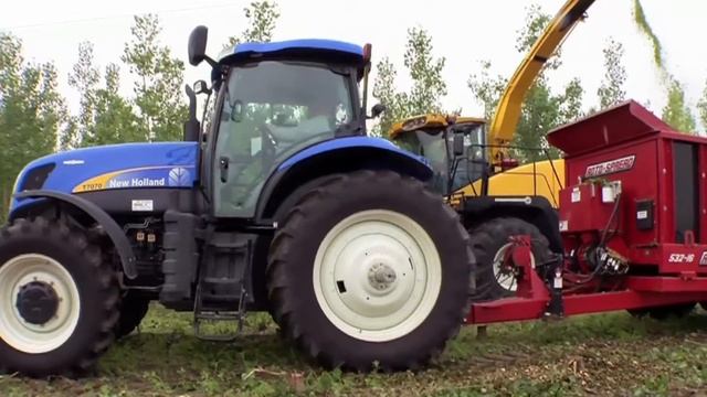 ZeaChem Poplar Tree Harvesting - narrated long version