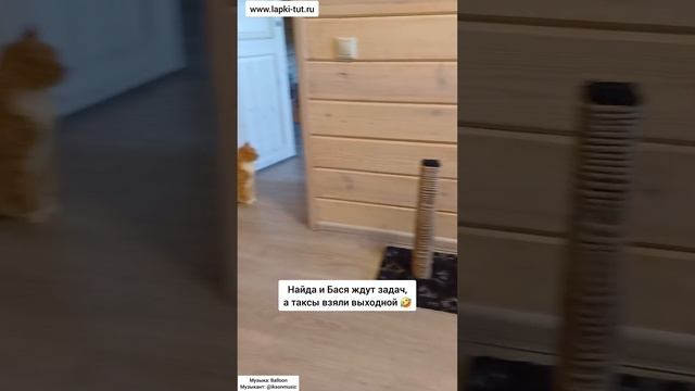 подготовка к ярмарке