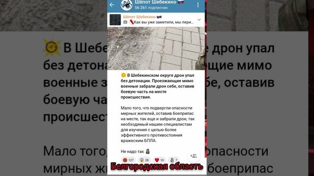 Военные забрали дрон а бомбочку оставили Шебекинский округ Белгородская область Россия.mp4