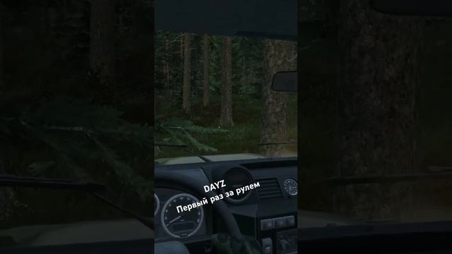 Dayz сел за руль