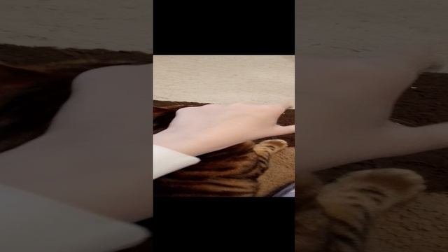 это мое видео потом с лицом