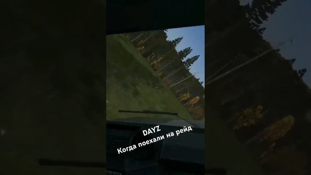 DAYZ едем решать вопросы