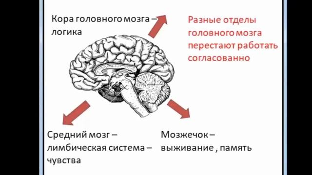 История о том, как мы теряем свои силы