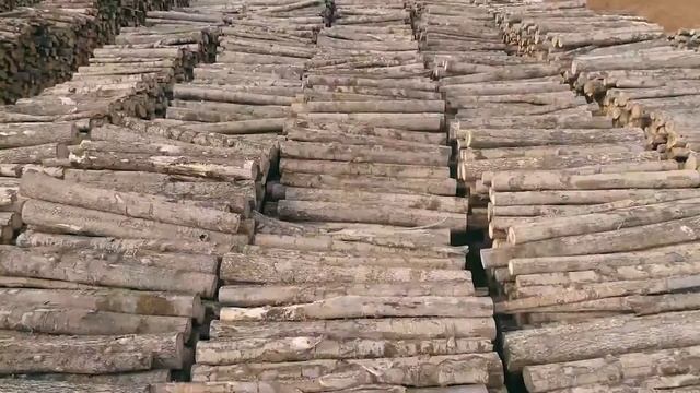 Презентационный ролик ООО "Промтех-инвест" г. Сыктывкар / 2021 г.