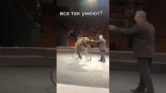 VID-20241111-WA0000.mp4