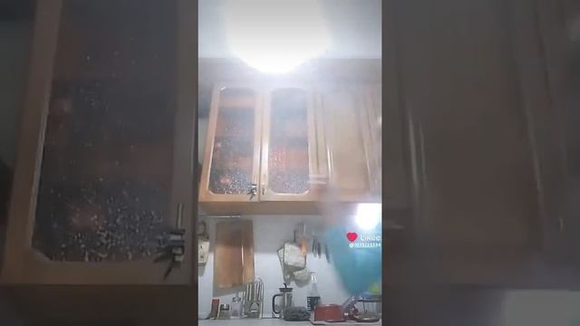 1000008961.mp4