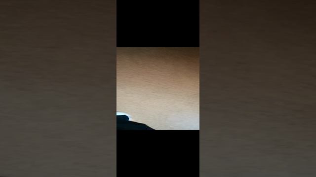 VID_20241106_141817.mp4