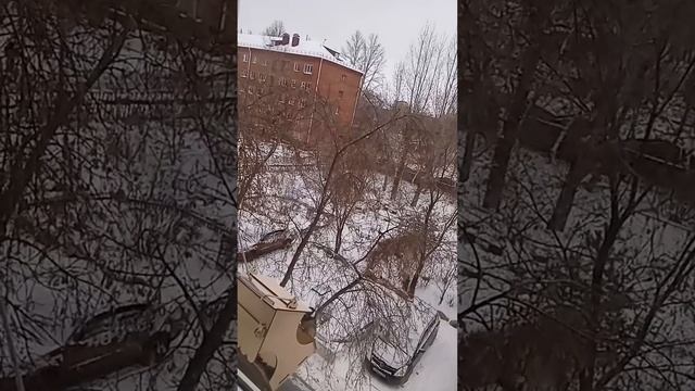 Новая кормушка.