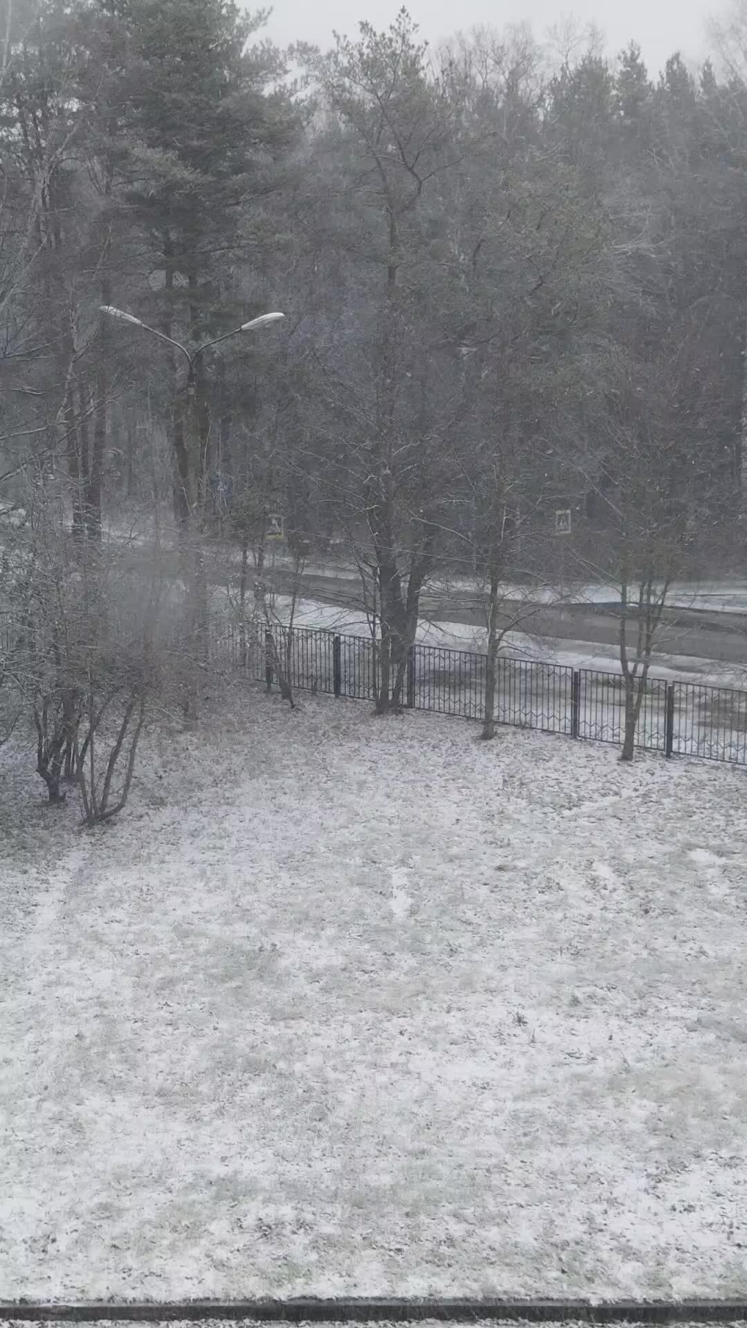 з