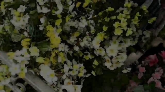 Исцеления по молитвам новомученика Петра Боярского.