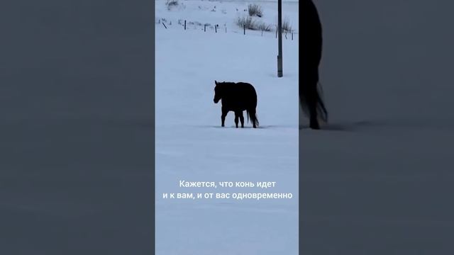 😳Ролик, который вызвал много споров.

А что видите вы?😅