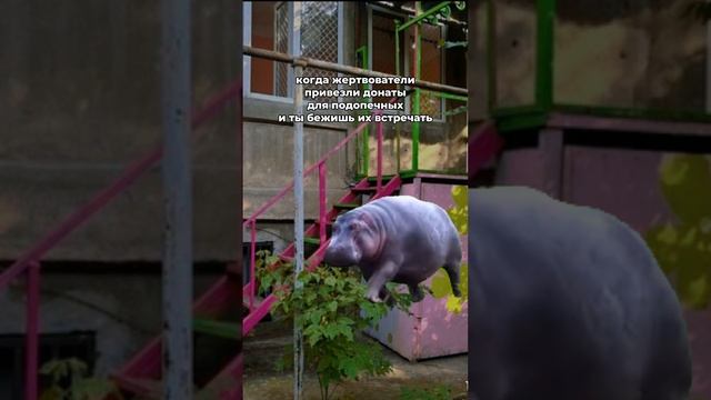 🦸 всех цалуем и благодарим за поддержку