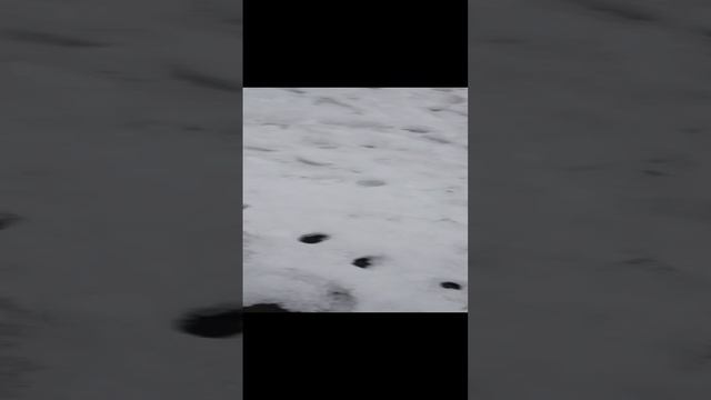 ура я нашел цифрал