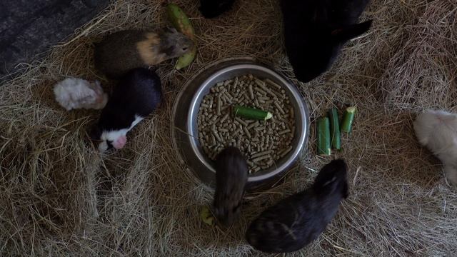 13520166-uhd_3840_2160_25fps