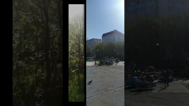 2024-11-12-010703743.mp4 Елена Дружиненко Воркута Лето