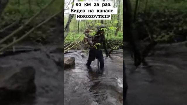 6 июня 2024 г.