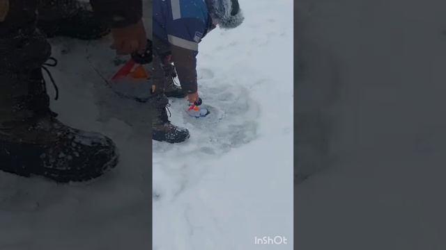 1000593641.mp4